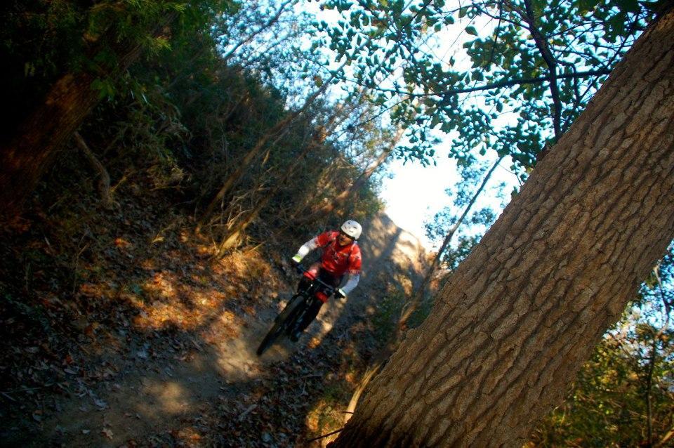 A mountain biker riding along a dirt trail surrounded by trees, with autumn leaves scattered on the ground and bright blue sky visible through the branches. The cyclist is wearing a red jersey and a helmet, showcasing an adventurous moment in nature. Horry County Bike Run Park mountain bike trail.