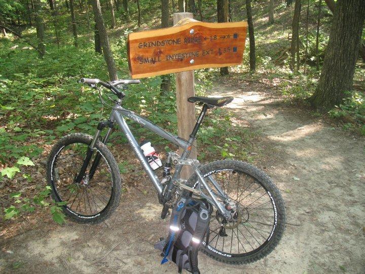 A mountain bike parked on a dirt trail beside a wooden sign indicating the directions for "Grindstone Loop" and "Small Intestine Ext" in a forested area. The surroundings are lush with green foliage, and the scene is bright and sunny. Raccoon Mountain Trail Network mountain bike trail.