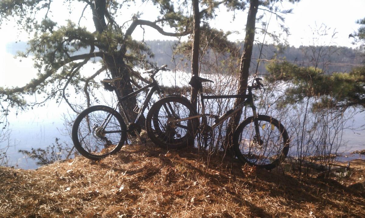 Trek 3700: Two mountain bikes lean against a tree by a serene lake, surrounded by pine branches and fallen leaves, with a misty landscape in the background.
