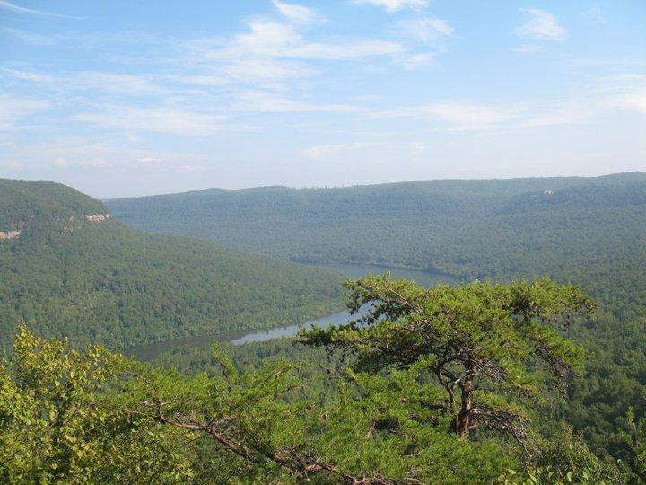 A picturesque view of a lush green valley with rolling hills, dotted with trees under a bright blue sky. A winding river can be seen flowing through the valley, reflecting the surrounding landscape. The scene captures the beauty of nature, showcasing a serene and tranquil setting. Raccoon Mountain Trail Network mountain bike trail.