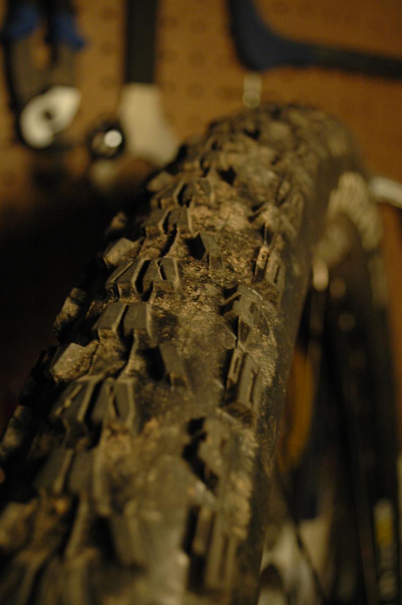 Maxxis Ardent: Close-up of a worn mountain bike tire featuring a textured tread pattern, with dirt and debris visible on the surface. The background is slightly blurred, revealing tools and equipment hanging on a wall.