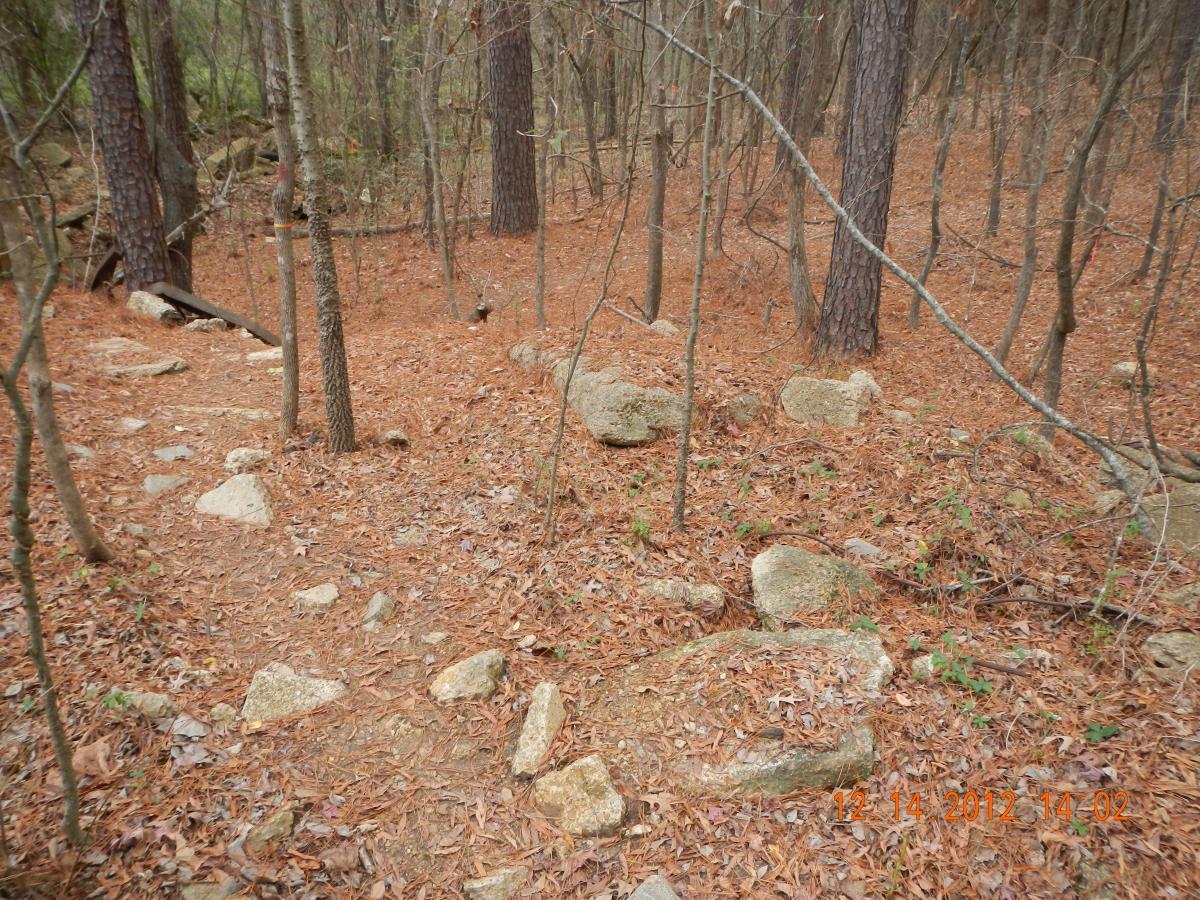 A wooded path covered in fallen leaves and scattered rocks, surrounded by tall trees and underbrush. The scene depicts a natural hiking trail in a forested area. Research and Technology Park (ERC) mountain bike trail.