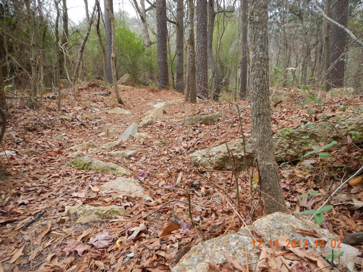 Alt text: A winding trail through a wooded area covered with fallen leaves and scattered rocks, flanked by trees with bare branches and sparse greenery. Research and Technology Park (ERC) mountain bike trail.