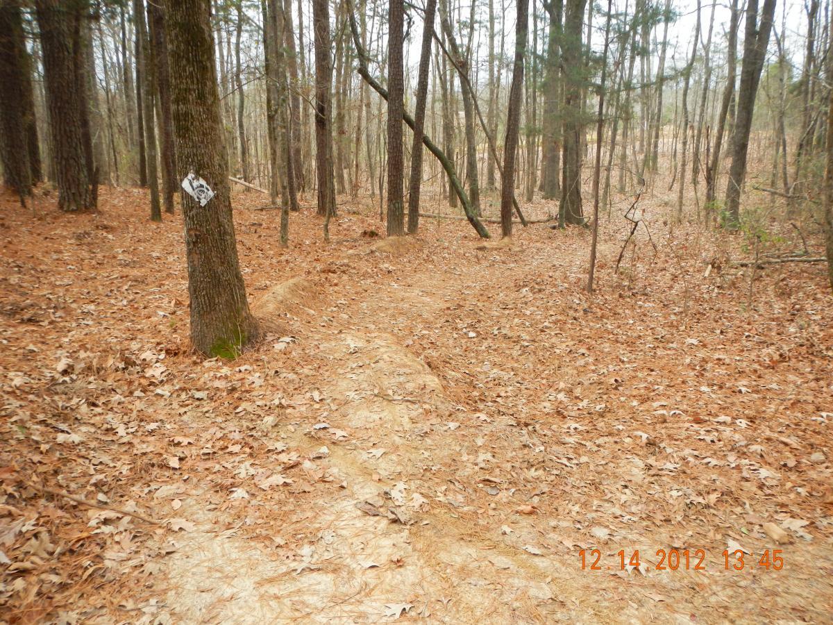 A winding dirt path through a wooded area covered with fallen leaves, flanked by tall trees. A trail marker is attached to one of the trees, indicating the route. The scene has a muted, peaceful atmosphere typical of a forest in late autumn. Research and Technology Park (ERC) mountain bike trail.