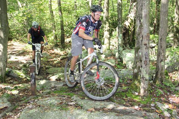 Marin Alpine Trail 29er: Two mountain bikers navigating a rocky trail through a wooded area. One rider is in the foreground, skillfully maneuvering over boulders, while the second rider follows behind. The scene is set against a backdrop of lush green trees, indicating a sunny day.