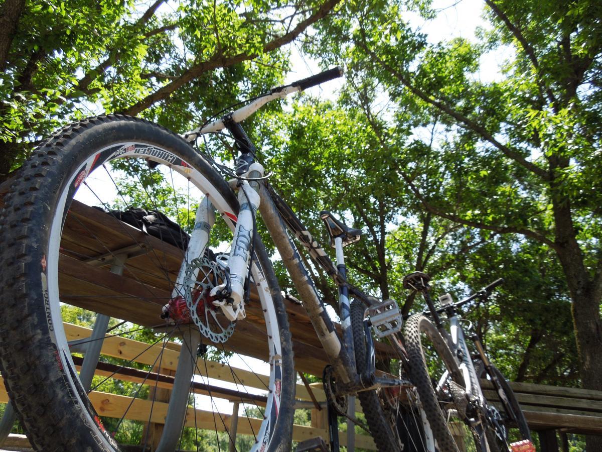 Gary Fisher Cobia: Mountain bikes resting on a wooden structure under a canopy of trees, with one bike prominently featured in the foreground showcasing its wheel and brake system. Sunlight filters through the leaves, creating a natural, vibrant atmosphere.