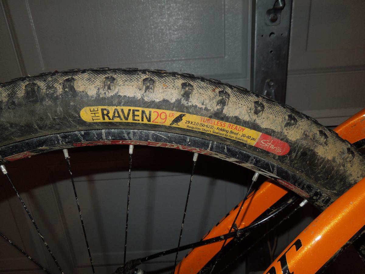Stans The Raven: Close-up image of a mountain bike tire labeled "THE RAVEN 29" with a visible tread pattern and dust, mounted on a wheel. The tire features information about being tubeless ready and specifications printed in bright colors. Part of an orange bike frame is also visible in the background.