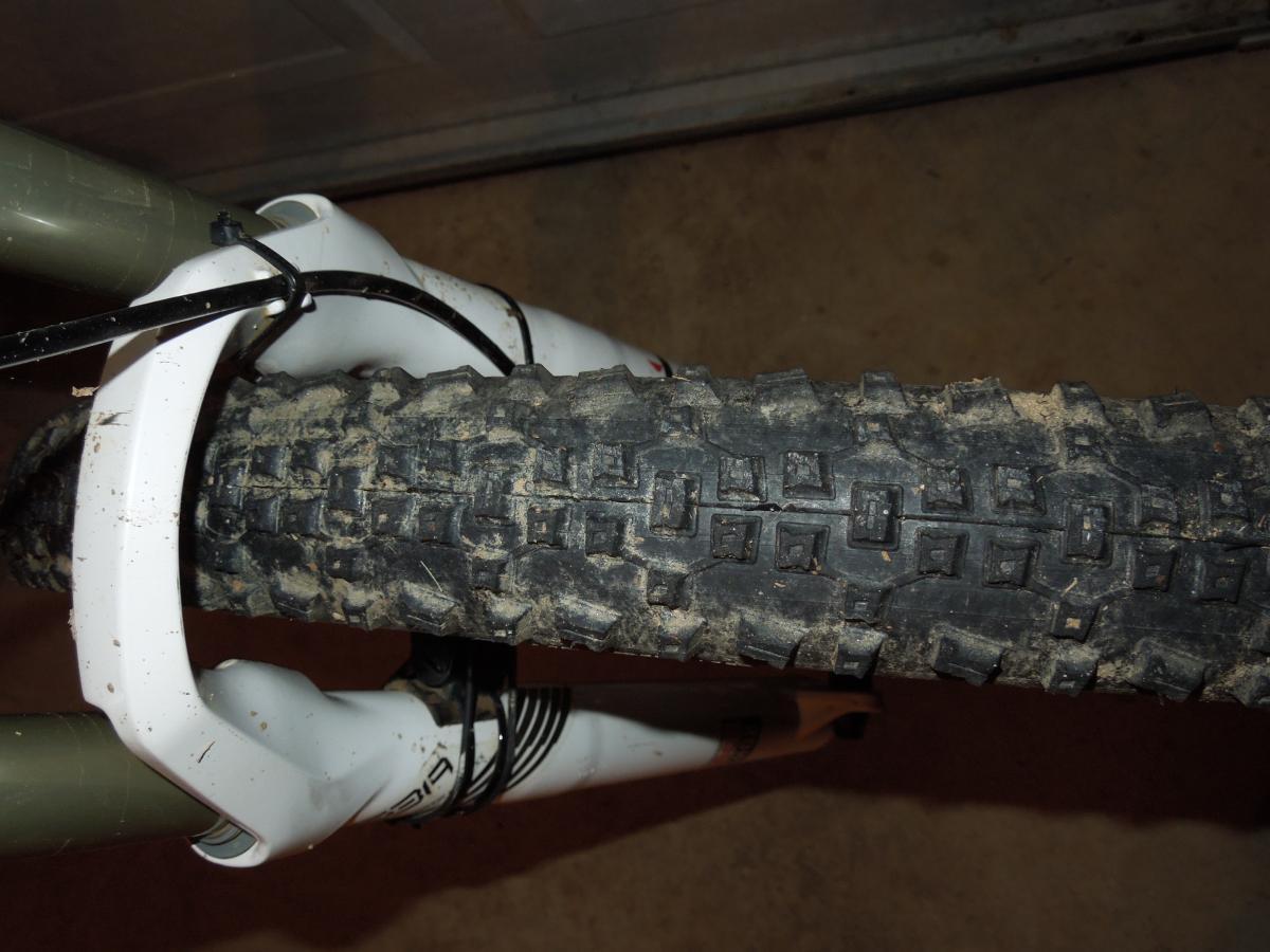 Schwalbe Racing Ralph: Alt text: Close-up view of a mountain bike front tire and fork, showcasing a muddy tire tread pattern. The bike's suspension fork is white, with some dirt visible on the components.