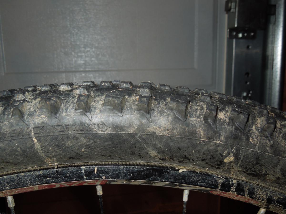 Schwalbe Racing Ralph: Close-up view of a rugged mountain bike tire, showcasing the textured tread pattern and some dirt accumulation. The tire is mounted on a black rim, with a blurred background suggesting a garage setting.