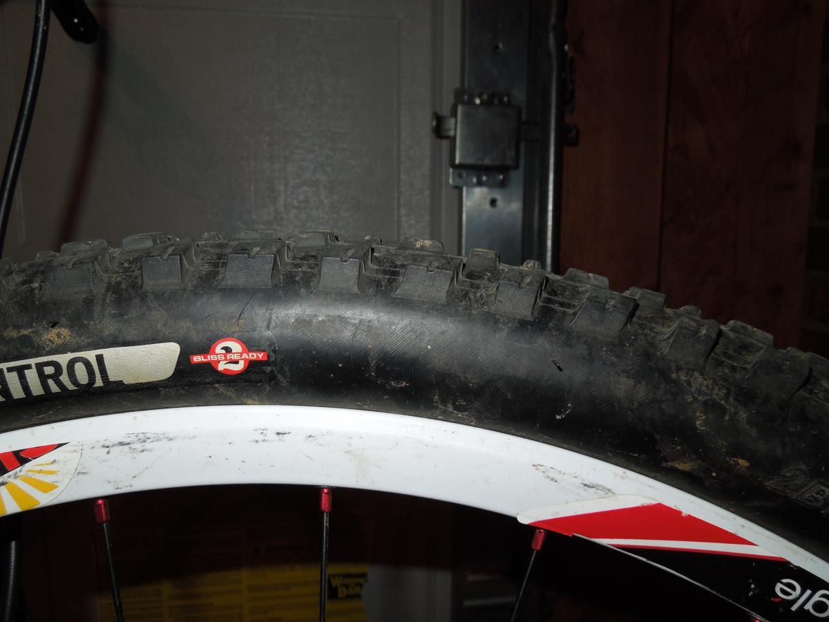Specialized Purgatory Control 2bliss: Close-up of a mountain bike tire with prominent tread patterns and a visible "Bliss Ready" label. The tire is mounted on a white rim, and the background shows a garage setting with a blurred door and wooden panels.