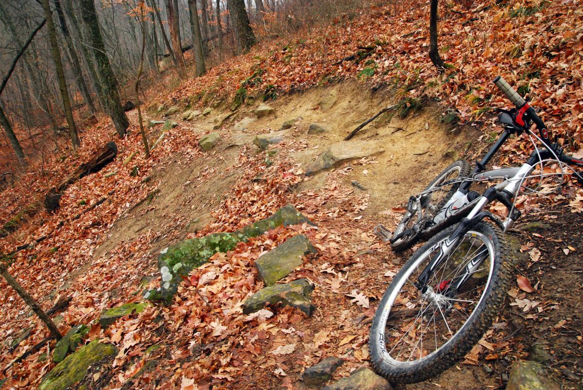 A mountain bike lies on the side of a dirt trail surrounded by autumn leaves and trees. The trail features rocky terrain, with patches of bare ground and leaves scattered on the ground, indicating a fall season setting. Brown County Park mountain bike trail.