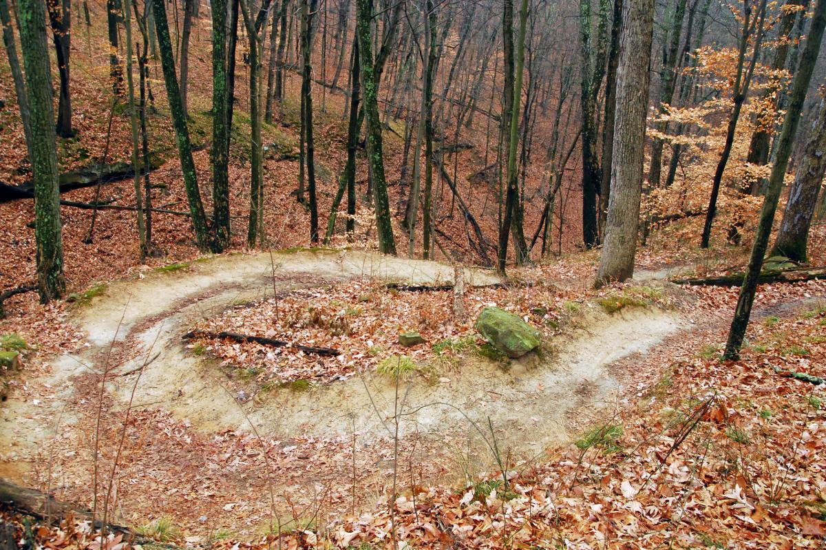 A winding dirt path through a wooded area covered in fallen leaves, surrounded by tall trees with sparse foliage, indicating an autumn setting. The trail bends sharply, leading down a slope. Brown County Park mountain bike trail.