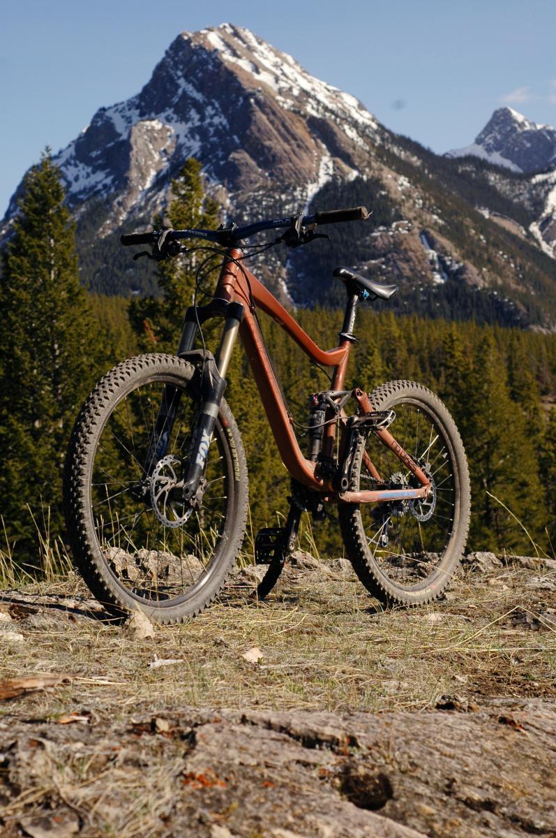Giant Reign 1: A mountain bike resting on rocky terrain, with a backdrop of snow-capped mountains and pine trees under a clear blue sky.