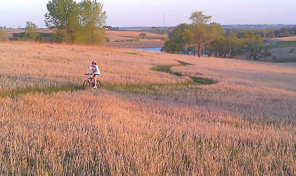 A person riding a bicycle through a field of tall, golden grass, with trees and a body of water visible in the background under a clear sky. Maskenthine Lake mountain bike trail.