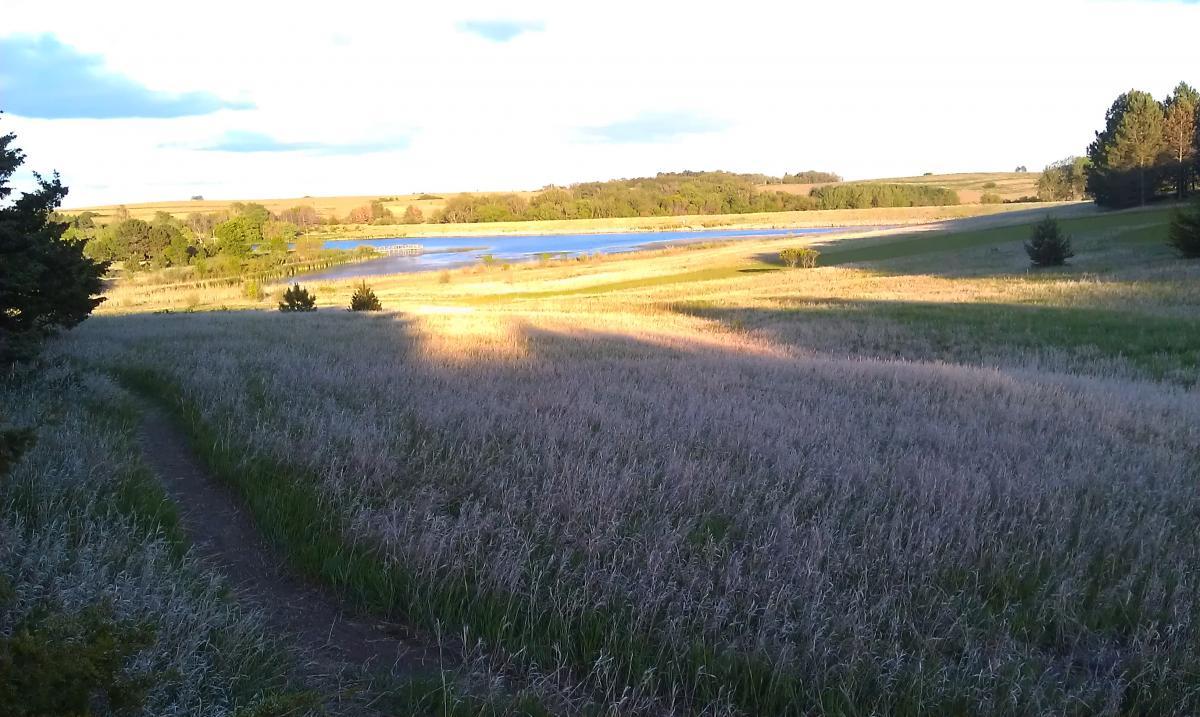 A serene landscape featuring a winding path through tall, dry grass leading to a calm lake. The scene is illuminated by soft sunlight, with lush green trees on the banks of the lake and rolling hills in the background under a partly cloudy sky. Maskenthine Lake mountain bike trail.