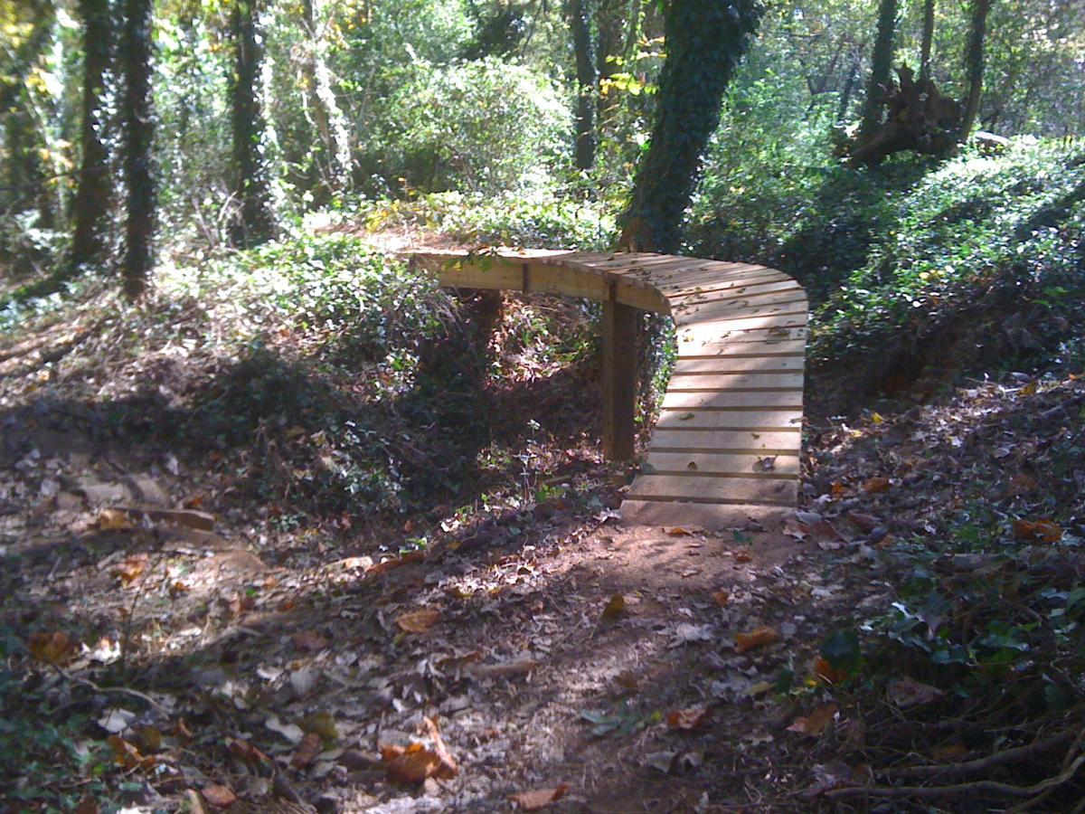 A wooden bridge curving over a small landscape in a forested area, surrounded by lush greenery and fallen leaves on the ground. Sunlight filters through the trees, creating dappled shadows on the path. Back Yard Trails mountain bike trail.