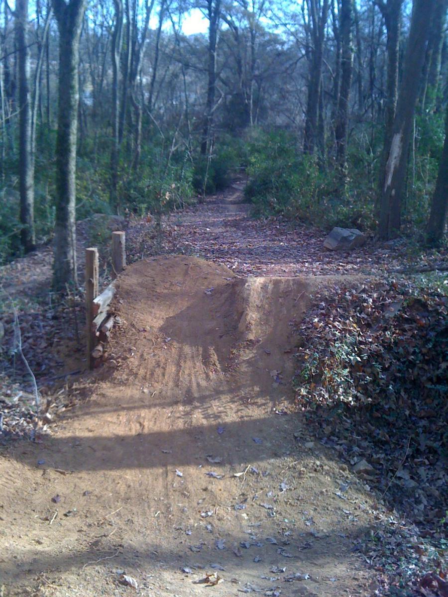 A dirt bike jump on a forest trail, surrounded by trees and underbrush, with scattered leaves on the ground and a clear blue sky above. Back Yard Trails mountain bike trail.