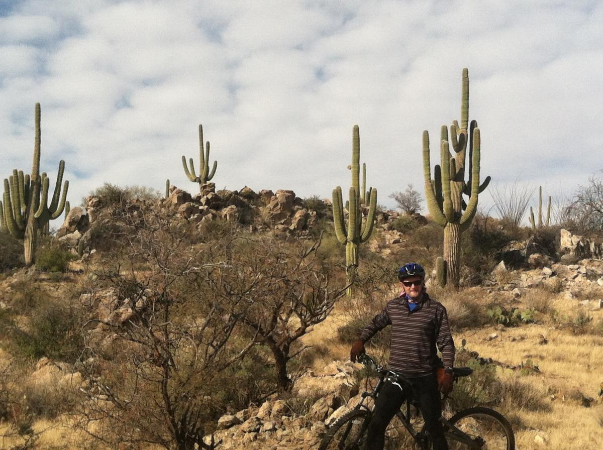 A person in biking gear stands next to a mountain bike on a desert trail, surrounded by tall cactus plants and rocky terrain under a partly cloudy sky. Honeybee Canyon / Rail X Ranch mountain bike trail.