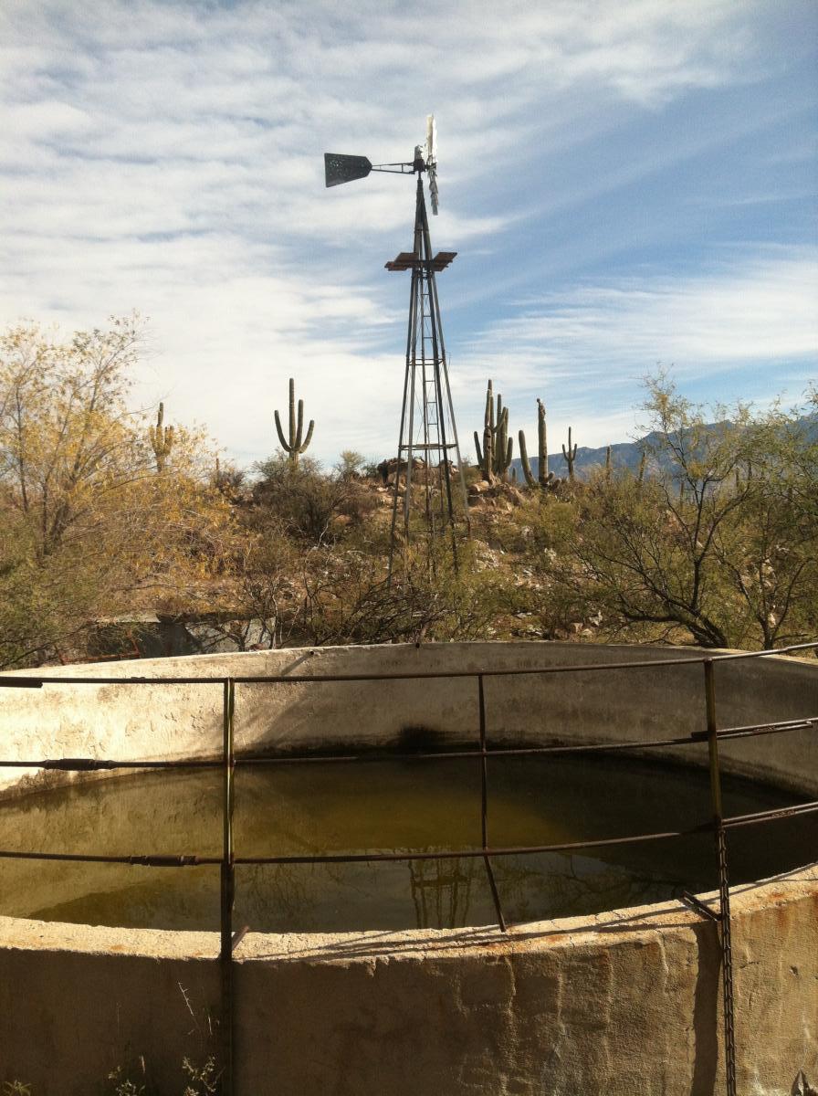 An old windmill stands on a rocky hill surrounded by desert vegetation, including cacti. In the foreground, there is a circular concrete water trough with some stagnant water. The sky is partly cloudy, hinting at a bright day. Honeybee Canyon / Rail X Ranch mountain bike trail.
