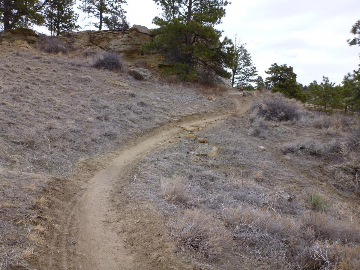 A winding dirt trail meanders through a rugged landscape, surrounded by dry grass and scattered rocks. Pine trees are visible in the background, and the trail leads up a gentle slope towards rocky outcrops under an overcast sky. Zimmerman Trail mountain bike trail.