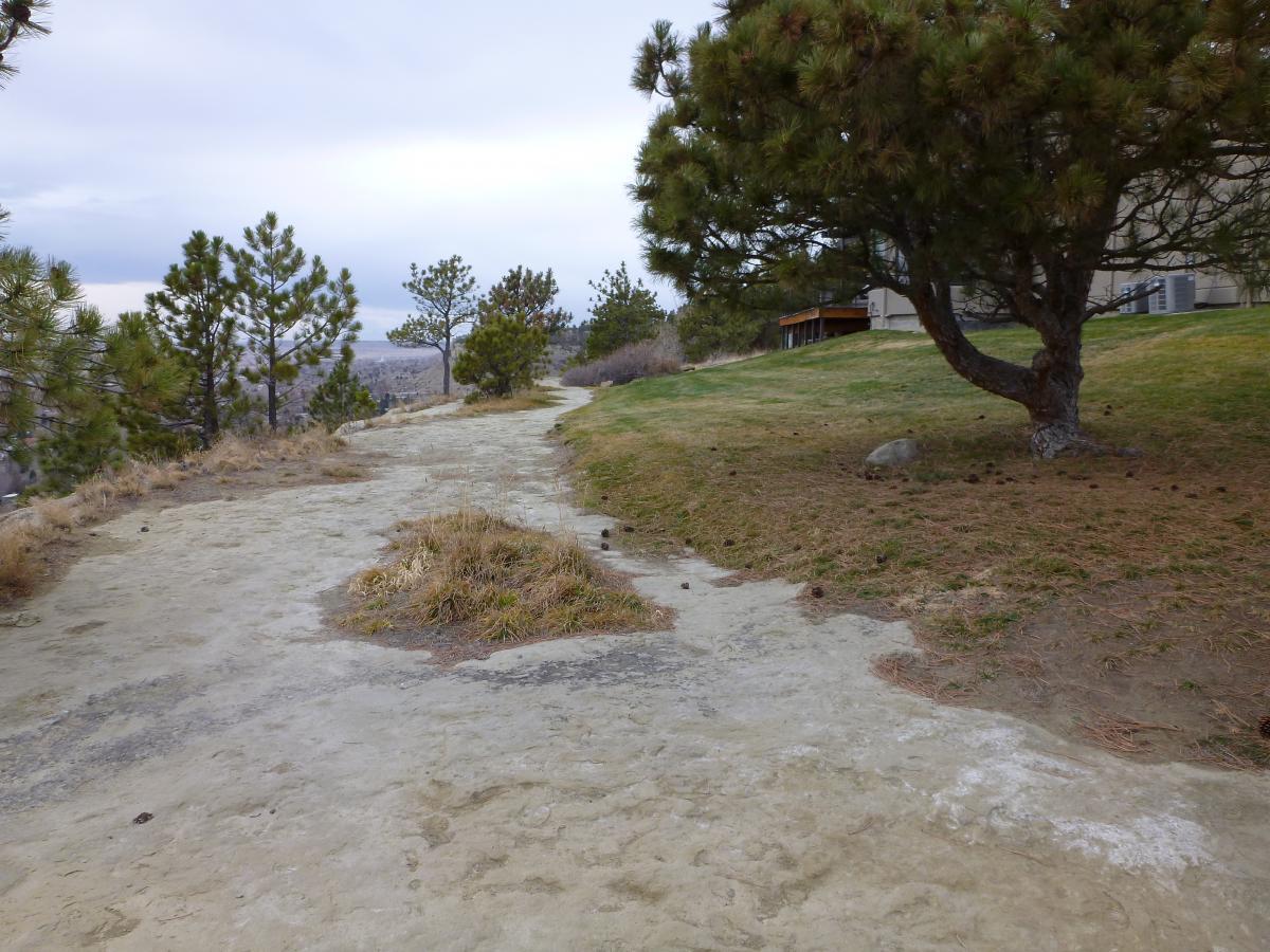 A winding path leading through a natural landscape, flanked by pine trees and patches of grass. The scenery is set under a cloudy sky, with a building visible in the background. The path appears slightly worn, suggesting it is a commonly traveled route. Zimmerman Trail mountain bike trail.