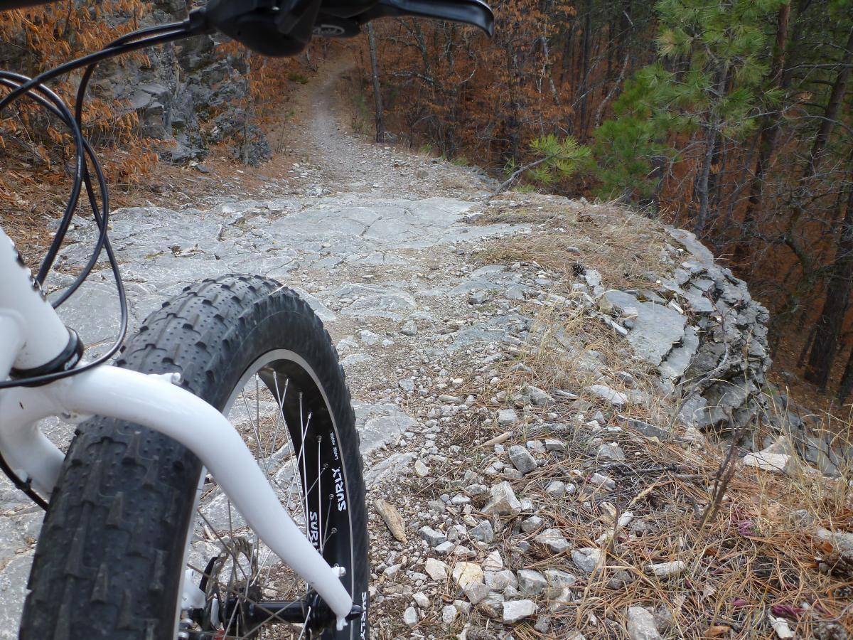 Close-up view of a fat bike tire on a rocky mountain trail, with a narrow path visible in the background surrounded by autumn foliage. Centennial Trail mountain bike trail.