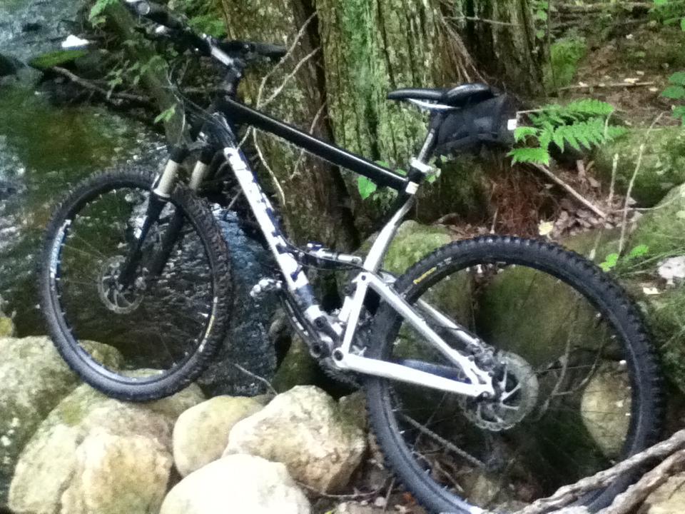 Giant Anthem 2: A mountain bike resting on rocks beside a small stream in a wooded area, with lush green foliage in the background.