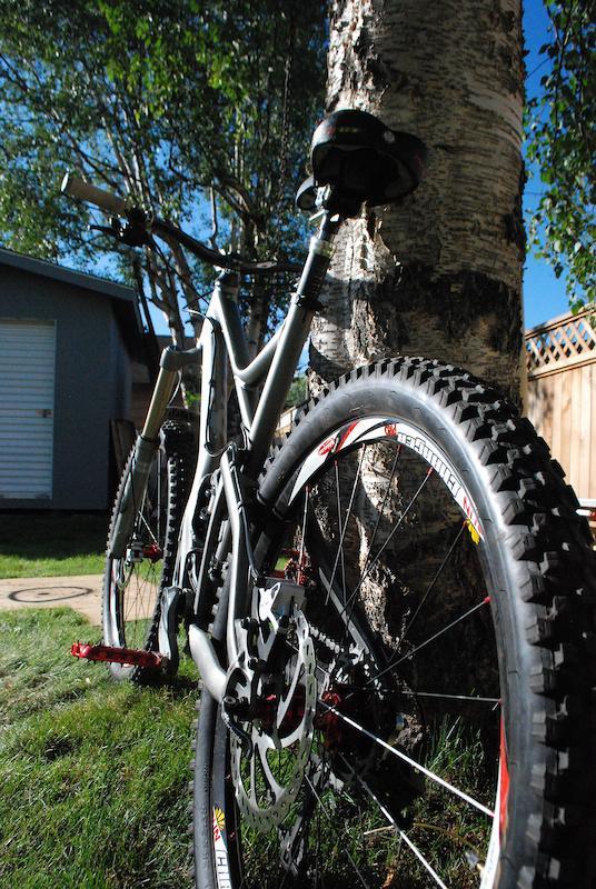 Giant Reign X1: A mountain bike leaning against a tree in a backyard, with a clear blue sky in the background. The bike features thick tires and a modern design, with visible brake rotors and a sleek frame. Green grass surrounds the bike, complementing the natural setting.