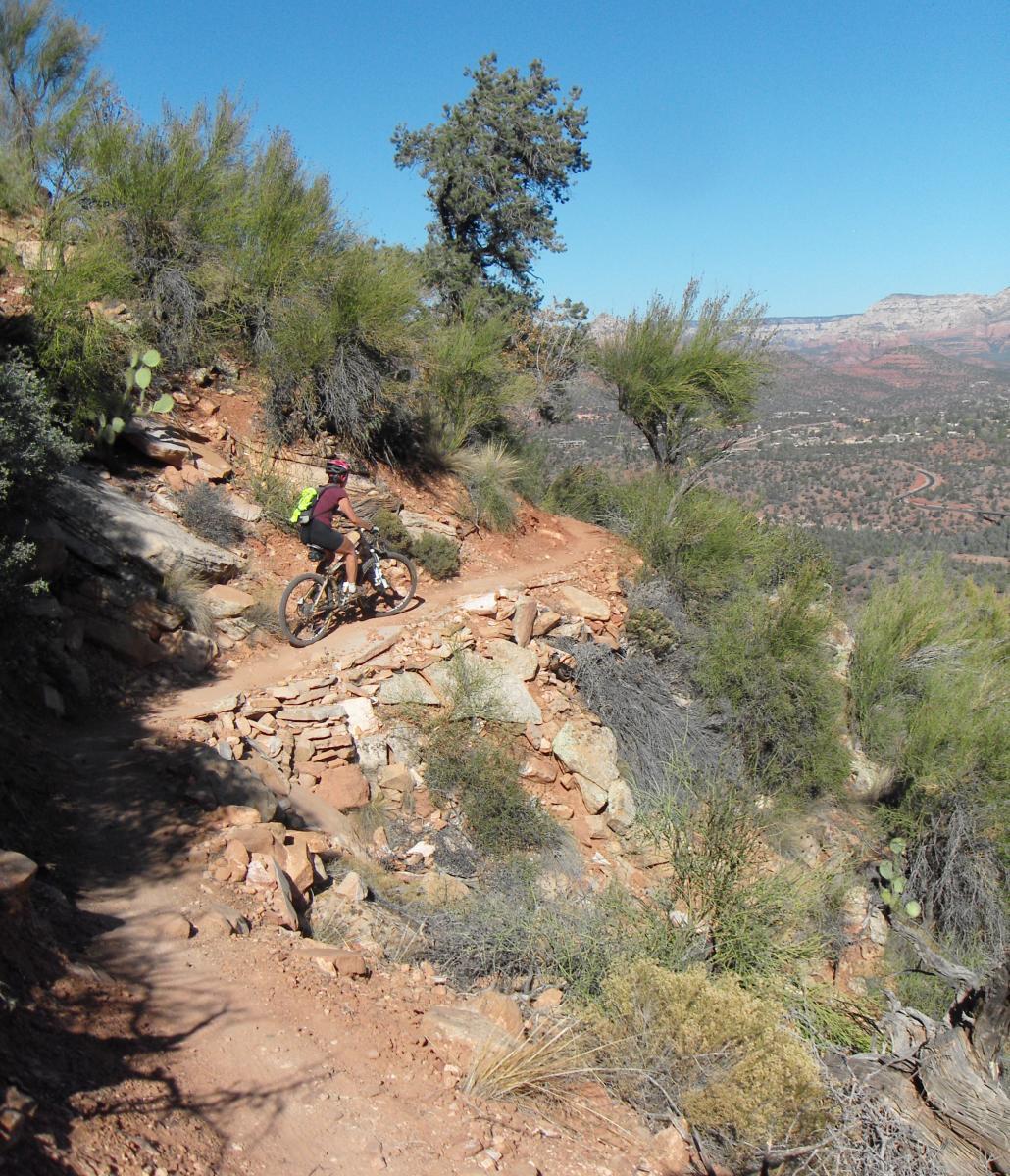 A mountain biker navigating a rocky trail on a hillside surrounded by shrubs and cacti, with distant mountain ranges visible under a clear blue sky. Hiline mountain bike trail.