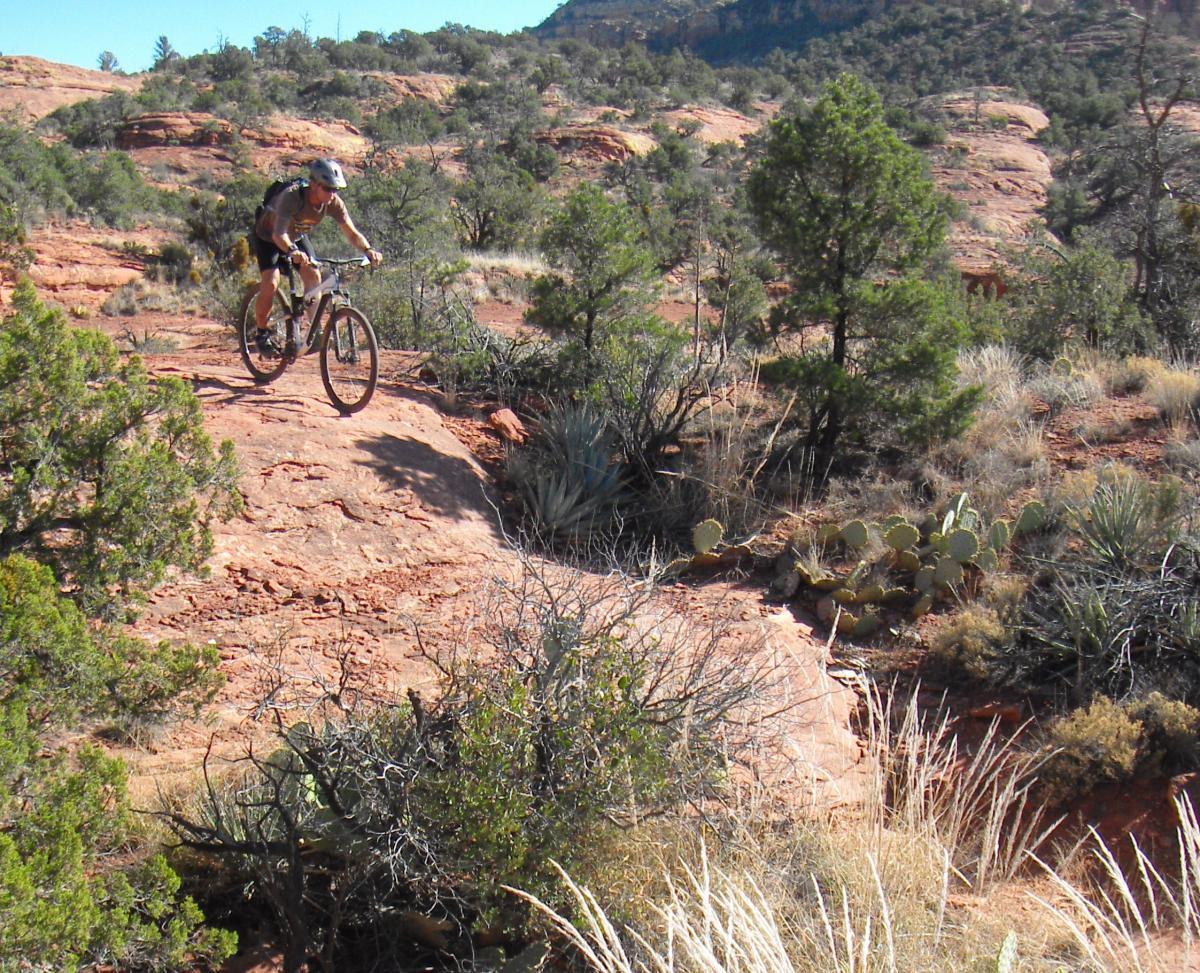 A mountain biker navigating a rocky trail surrounded by desert vegetation, including cacti and shrubs, with steep terrain in the background. Hiline mountain bike trail.