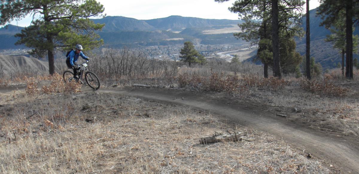 A mountain biker navigating a winding dirt trail on a hillside, surrounded by sparse vegetation and trees, with a distant view of mountains and a valley below. The scene is set in a mountainous landscape, showcasing outdoor adventure and nature. Twin Buttes mountain bike trail.