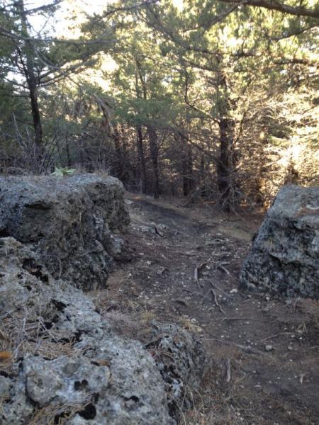 A rocky trail winding through a forest with tall trees and scattered foliage, illuminated by soft sunlight. The image features large stones on either side of the path, leading into the dense woods. Fancy Creek State Park mountain bike trail.
