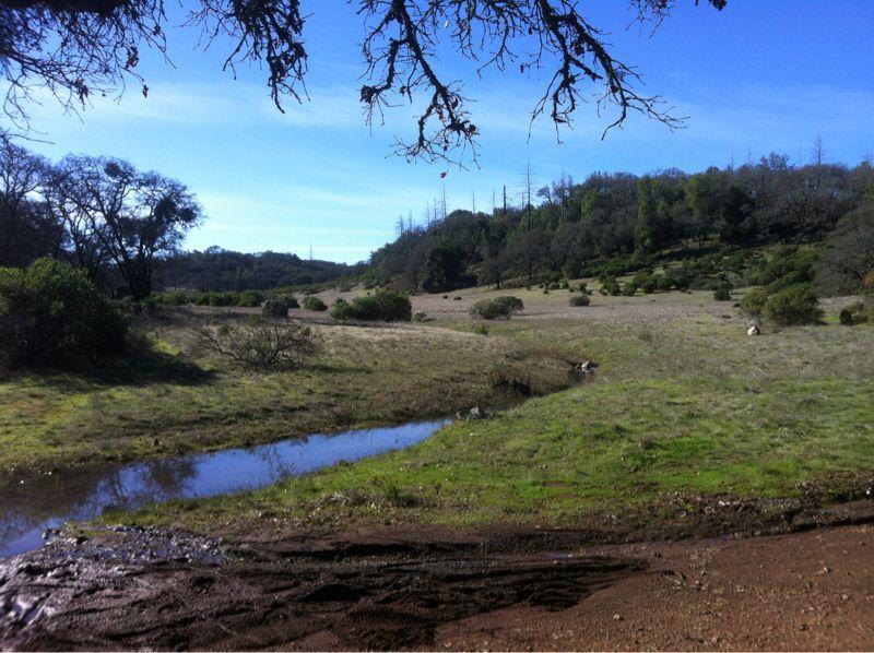A serene landscape featuring a grassy field bordered by trees, with a small, reflective stream winding through the foreground. The background consists of rolling hills covered in greenery under a bright blue sky. Annadel State Park mountain bike trail.