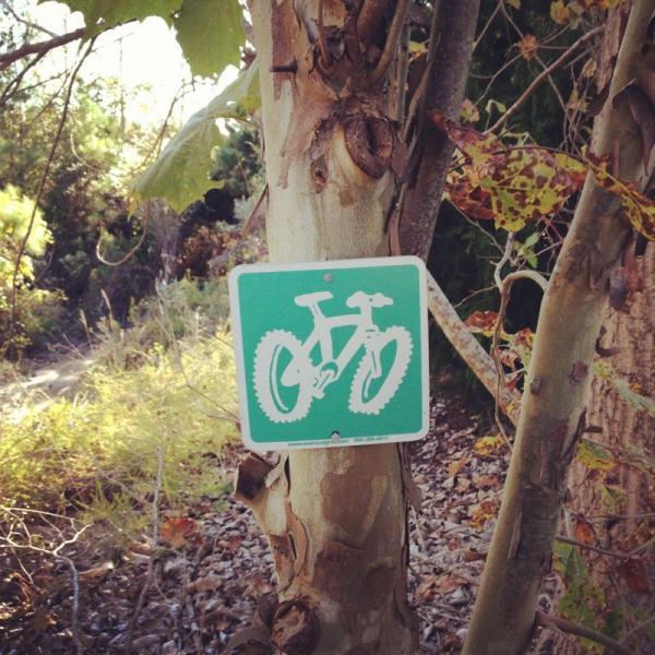 A green sign depicting a mountain bike, mounted on the trunk of a tree in a natural outdoor setting. The background features foliage and a trail, suggesting a biking route or trail area. Horry County Bike Run Park mountain bike trail.