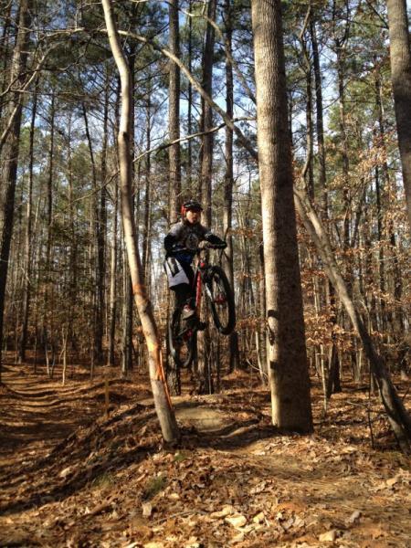 A person in a helmet and biking gear performs a jump on a mountain bike on a dirt trail surrounded by tall trees and autumn leaves. The rider is airborne, with the bike elevated above a small mound in the forest. Freedom Park (aka:district Park) mountain bike trail.