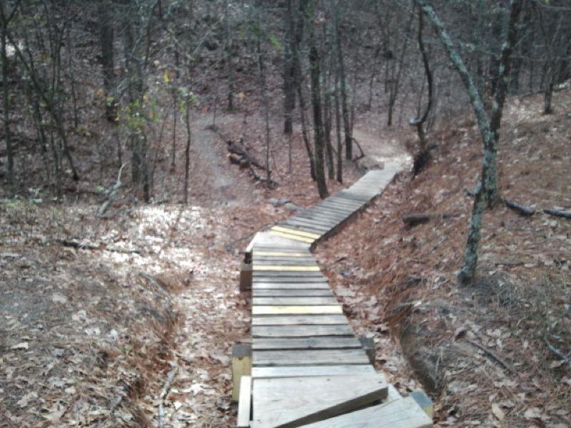 A winding wooden pathway meanders through a forested area, surrounded by trees and covered with fallen leaves. The path is partially elevated and features yellow markings along the sides. The scene is serene and captures the natural beauty of the woods. Boyd Pond mountain bike trail.