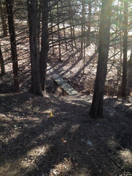 A wooden footbridge crossing a small gap in a forested area, surrounded by tall trees and dappled sunlight filtering through the branches. The ground is covered with leaves and pine needles, creating a natural, peaceful setting. Fancy Creek State Park mountain bike trail.