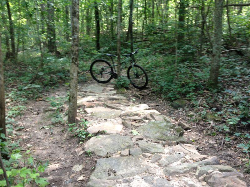 A mountain bike resting on a rocky trail surrounded by lush green trees and dense underbrush in a forested area. Monte Sano State Park &amp; Land Trust mountain bike trail.