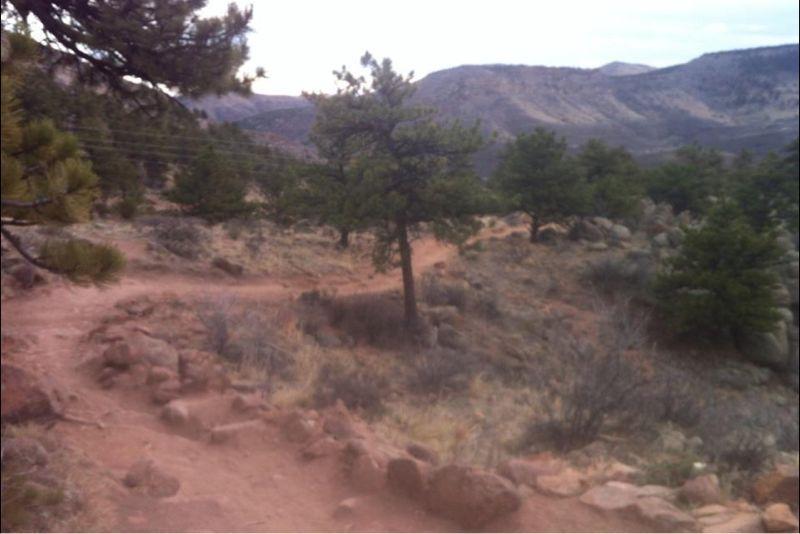 A winding dirt trail surrounded by rocky terrain and pine trees, leading into a mountainous landscape under an overcast sky. Hall Ranch mountain bike trail.
