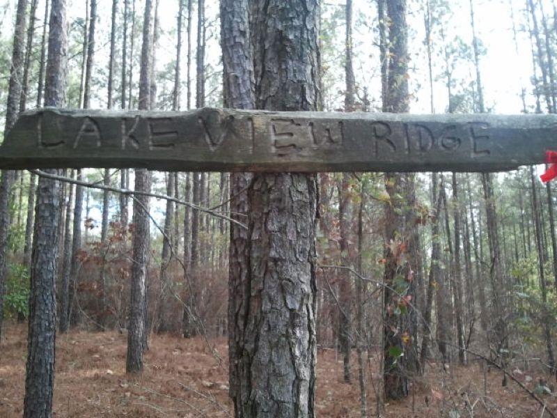Wooden sign reading "Lake View Ridge," attached to a tree in a wooded area, with tall pines and a natural forest backdrop. Boyd Pond mountain bike trail.
