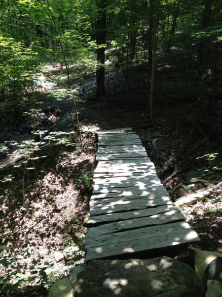 A wooden bridge crosses a small ravine in a lush forest. Sunlight filters through the leaves, creating a dappled pattern on the ground and bridge. The surrounding trees are green and dense, indicating a peaceful and natural setting. Monte Sano State Park &amp; Land Trust mountain bike trail.