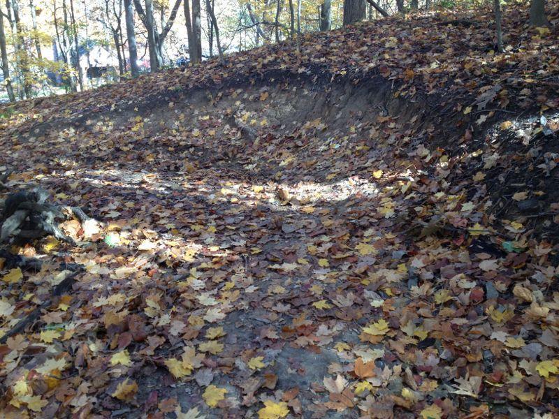 A wooded area covered with a thick layer of fallen autumn leaves in various shades of orange, yellow, and brown. The ground is slightly uneven, with a gentle slope leading to a higher area, surrounded by trees showing seasonal foliage. Sunlight filters through the branches, creating dappled shadows on the leaf-strewn ground. Fort Harrison State Park mountain bike trail.