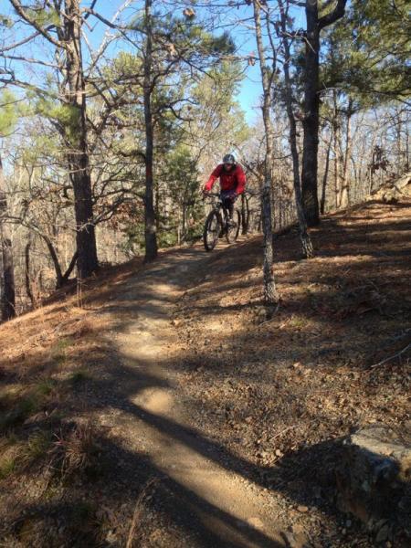 Mountain biker riding down a dirt trail surrounded by trees in a wooded area. The biker is wearing a red jacket and a helmet, and is in an action pose as they navigate the path. Sunlight filters through the branches, casting shadows on the ground. Burns Park mountain bike trail.