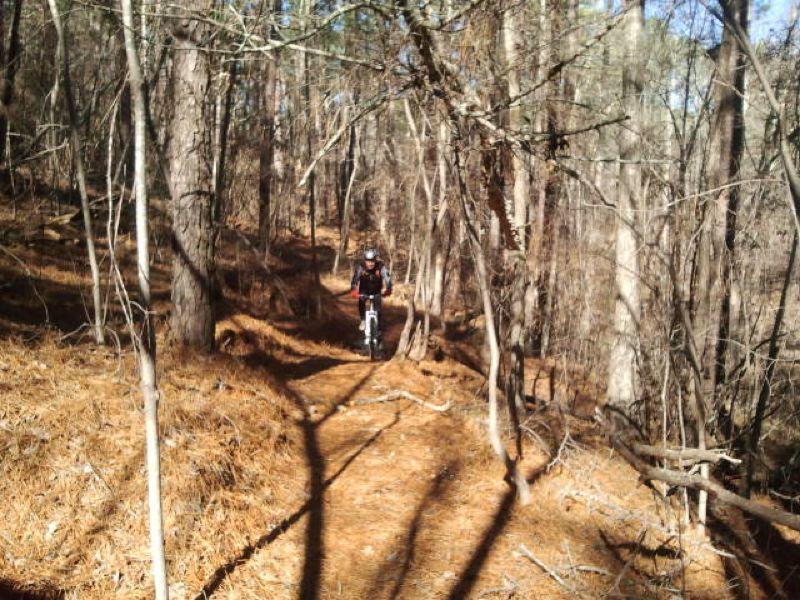 A cyclist riding a mountain bike on a narrow, winding dirt trail surrounded by tall trees in a forest. The ground is covered with pine needles, and the area appears sunlit and serene, showcasing the natural beauty of the woods. Big Rock Loop mountain bike trail.