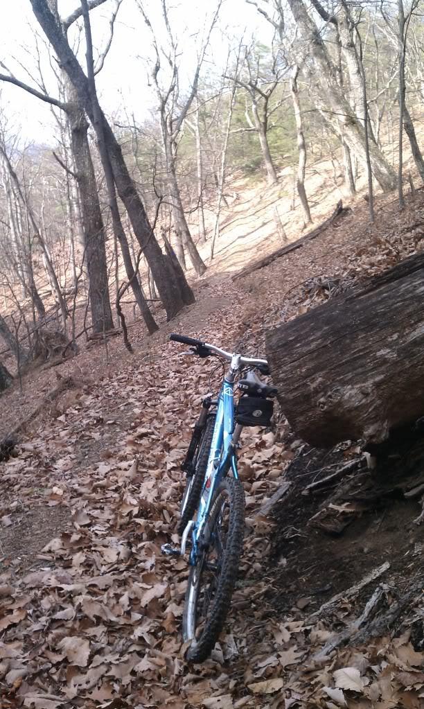 Gary Fisher Tassajara Disc: A blue mountain bike resting against a fallen log on a narrow trail surrounded by bare trees and scattered dried leaves. The scene captures a quiet moment in a wooded area during the winter or early spring.