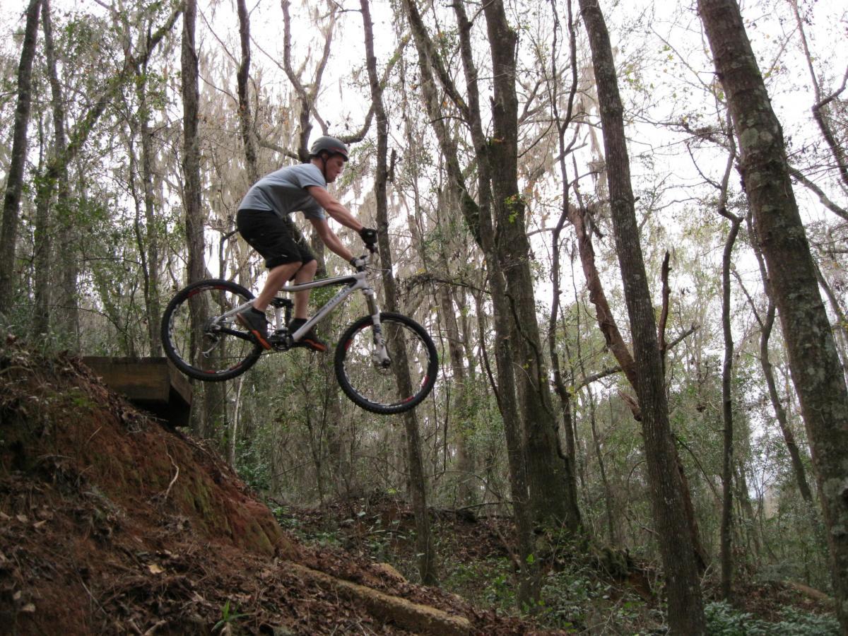 A mountain biker jumping off a dirt ramp in a wooded area, surrounded by tall trees and foliage. Cadillac mountain bike trail.