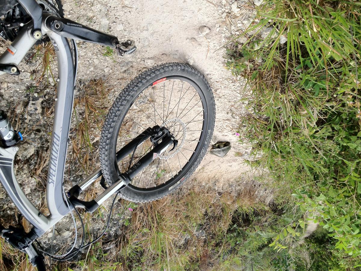 Specialized Camber 29: A close-up view of a mountain bike resting on a dirt trail, surrounded by grass and foliage. The image captures the bike's front tire and part of the frame, showcasing the Specialized brand logo.