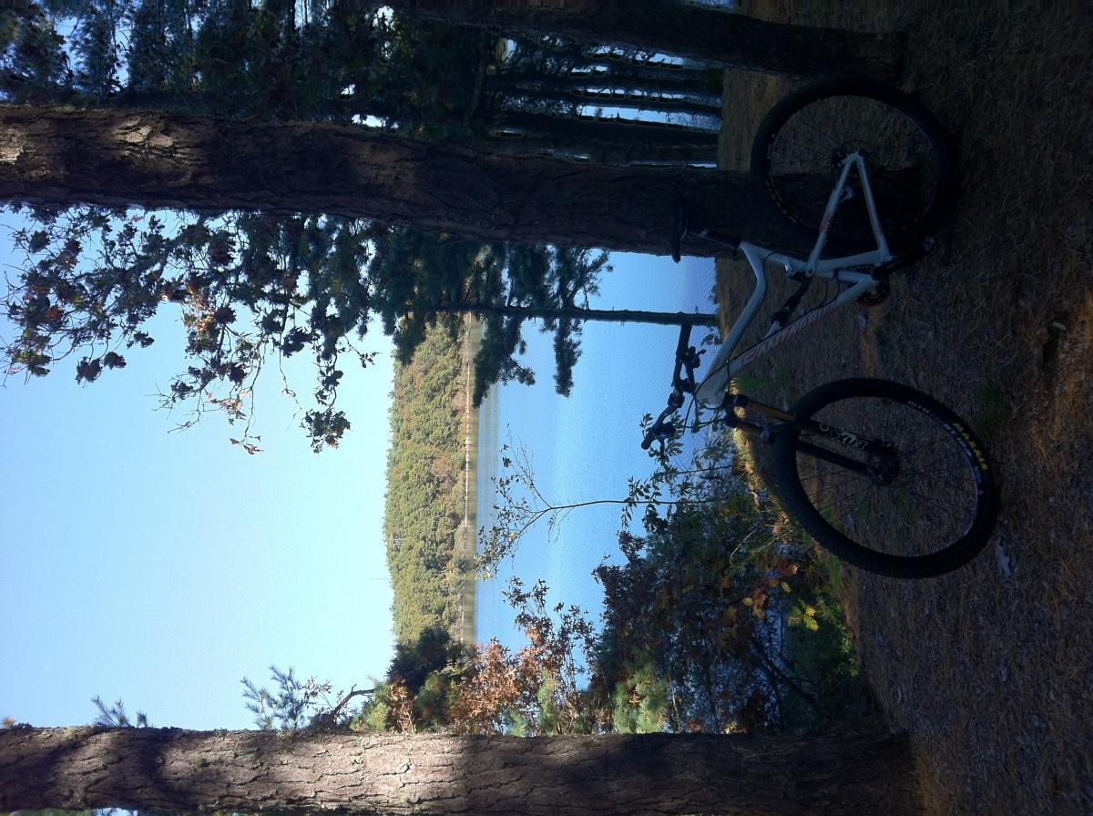 Santa Cruz Tallboy LT: A mountain bike leaning against a tree overlooking a tranquil lake surrounded by autumn foliage and tall pine trees. The scene captures a peaceful outdoor setting with clear blue skies and a serene atmosphere.