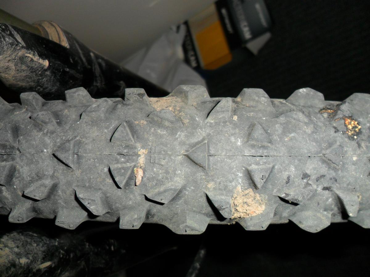 Continental Mountain King: Close-up view of a dirty mountain bike tire, showcasing the tread pattern and accumulated dirt on the surface. The background includes blurry elements, suggesting an indoor setting.