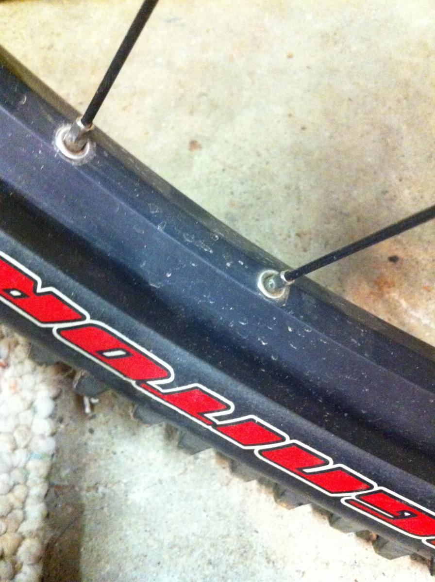 Forte Loco Front Wheel: Close-up view of a bicycle wheel, focusing on the rim, spokes, and tire. The tire has a visible brand designation in red, while the metal rim shows signs of usage with some dirt and markings. The spokes extend from the hub area towards the rim. The background appears to be a concrete surface.